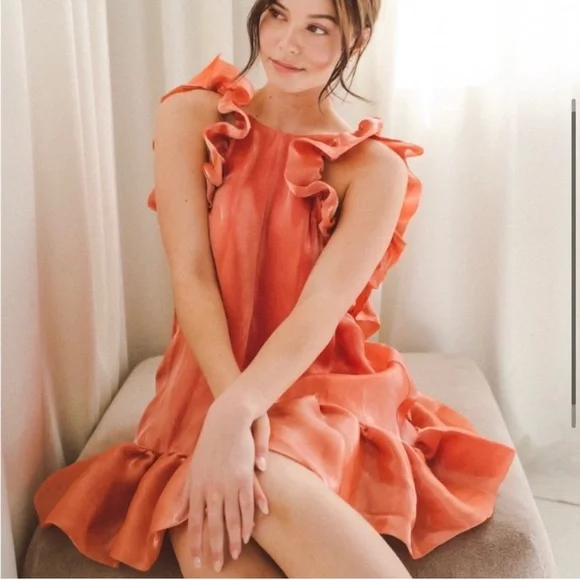 The Rose Shimmer Romance gown Mini Dress Maison Amory Size XS - Picture 3 of 8